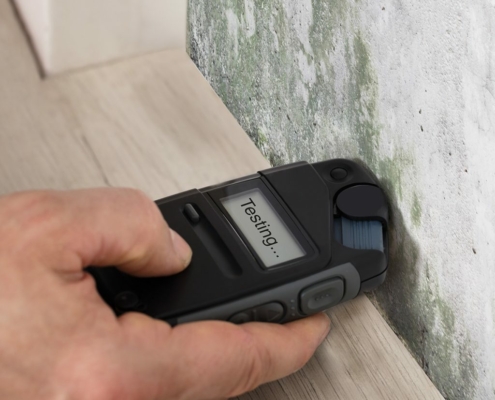 MOLD INSPECTION SERVICES